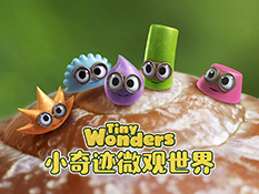 《小奇迹微观世界》